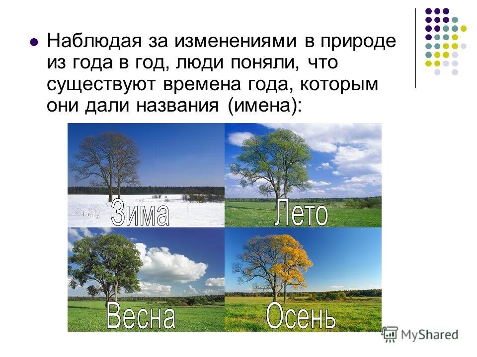 Реакция растения на фотопериодизм. Сезонные изменения в природе. Сезонные изменения в природе лето. Сообщение о сезонных изменениях в жизни животных. Фенология это наука.