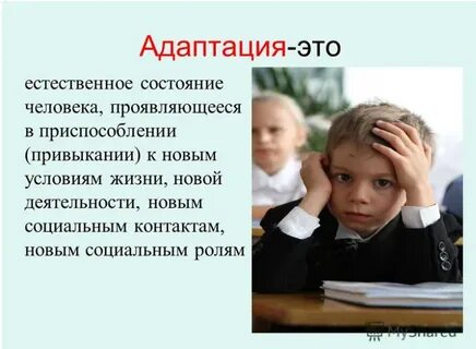 Социальная адаптация это адаптация к