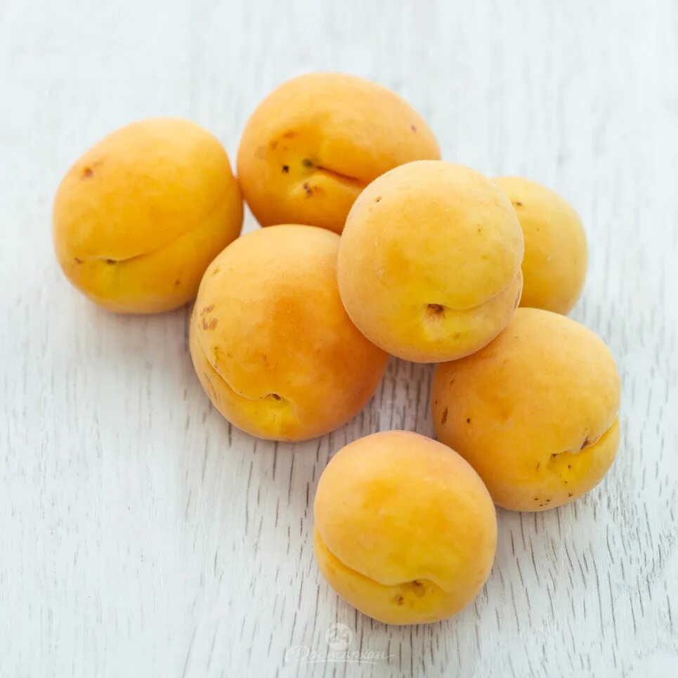 Абрикос сорт шалах. Нектарин желтый. Лысые абрикосы белого цвета. Абрикос желтый лель. Желтых абрикосов.