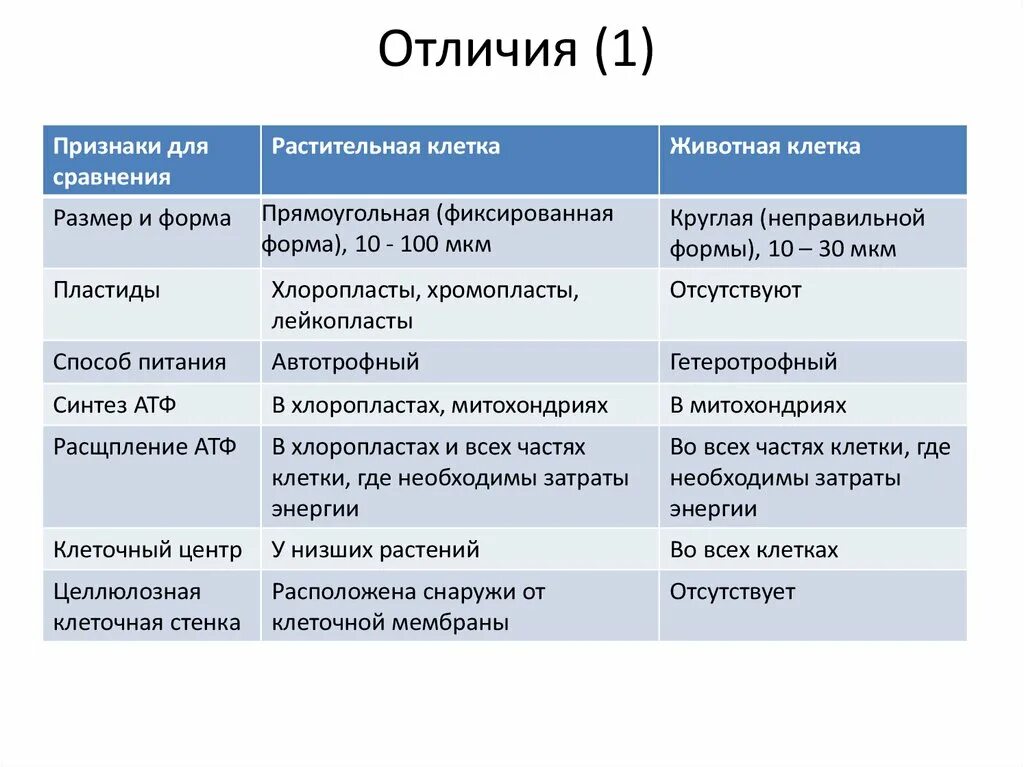 Клетки растений и животных различия сходство. Сравнительная таблица митохондрий и пластид. Сравнительная таблица митохондрий и хлоропластов. Различия митохондрий и пластид. Сравнение клеток растений и животных.