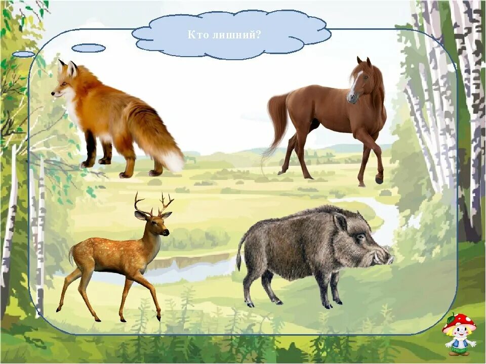 дикие животные для дошкольников. дикие животные в доу. дикие животные для детей. лесная полянка с животными. домашних животных для детей.