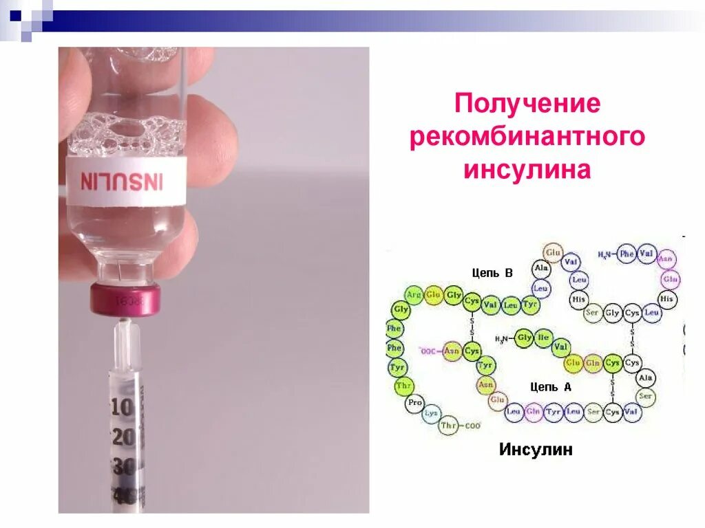 Рекомбинантный человеческий инсулин. Синтез рекомбинантного инсулина. Генная инженерия инсулин. Схема получения рекомбинантного инсулина. Этапов биотехнологии получения инсулина