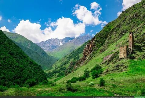 Бесплатный чеченский