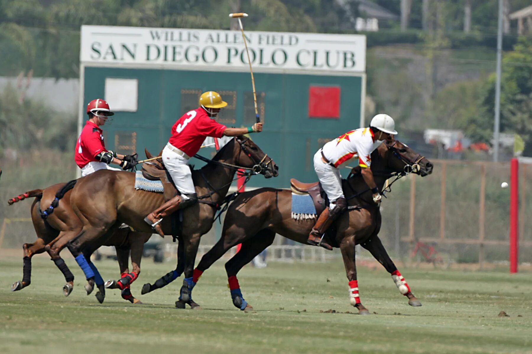 Сан поло. Поло в Cowdray Park. Tumassi Sandiego поло. Погоня Polo. Турнир в сан диего