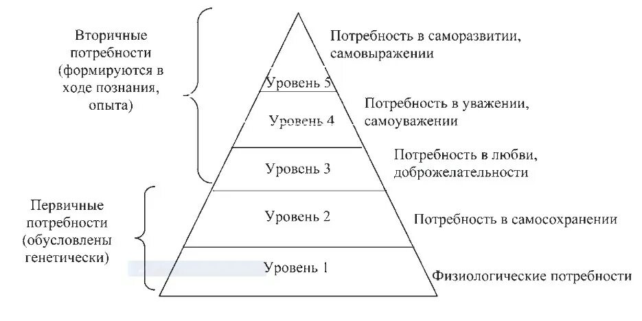 Маслоу о менеджменте книга. Теория личных потребностей. Теория потребностей маслоу. Иерархия человеческих потребностей (по теории а. Абрахам маслоу потребности.