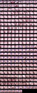 Little angelph - emart.cl HD phone wallpaper. emart.cl HD phone wallpaper. 