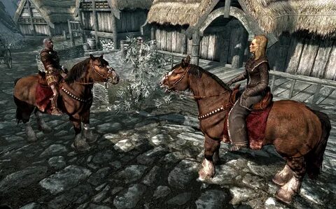 Skyrim fandom
