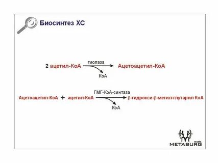 Соединение ацетил радикала и ацетил коа
