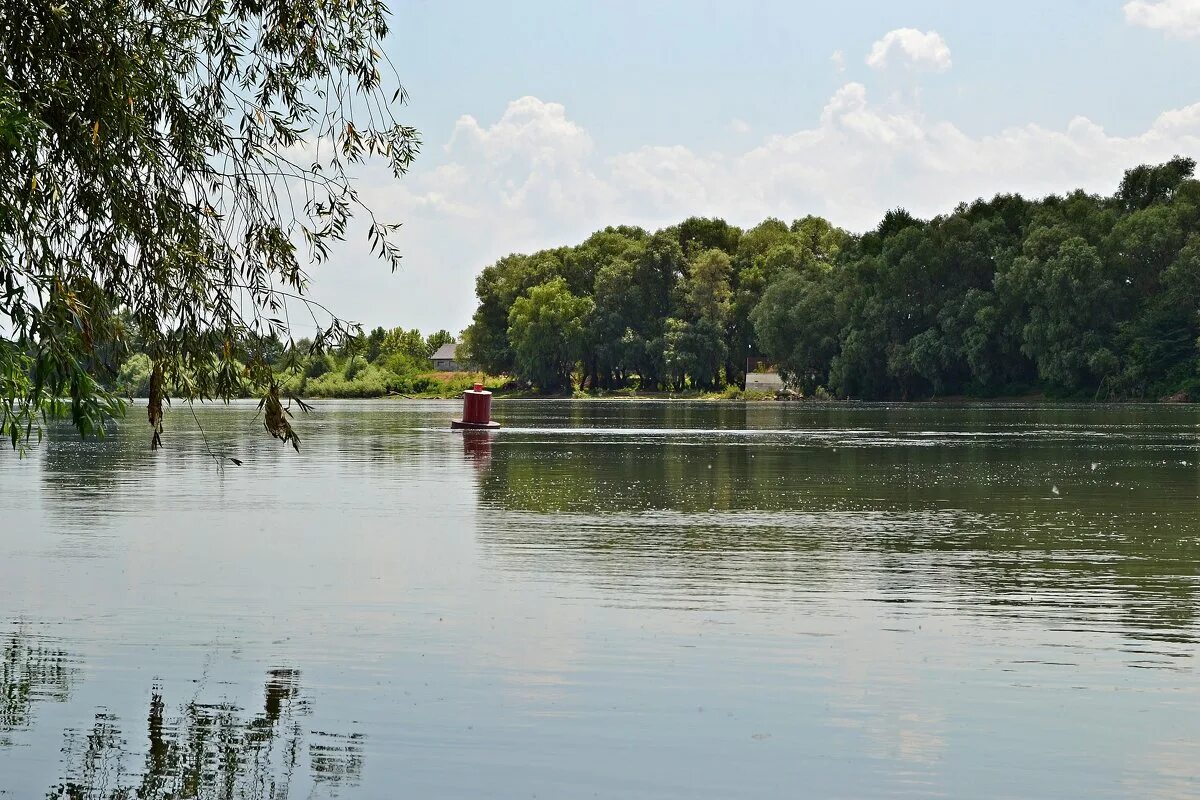 фото р кубань. кубань табличка. река зеленчук невинномысск. слияние рек невинномысск. кубань невинномысск.