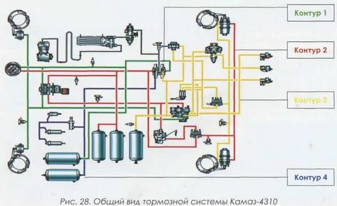 Мұсылман елдеріндегі порнографиялық секс туралы видеолар
