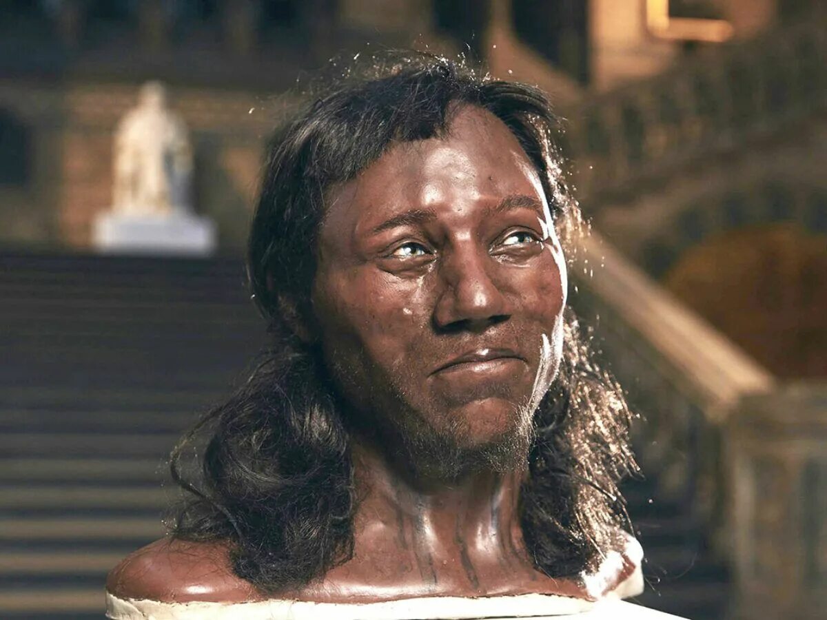 Первым жителем стал. Древние европейцы. Темнокожие европейцв. 10 Тысяч лет назад. Древние европейцы были темнокожими.