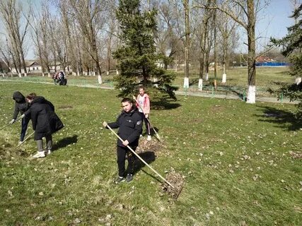 Заметка о субботнике в школе