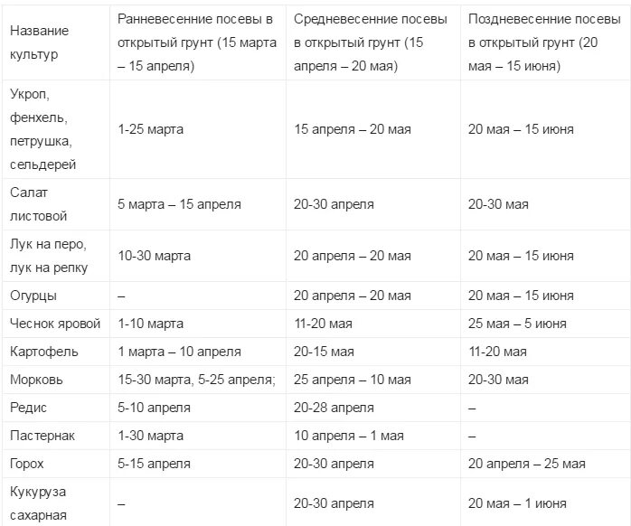 Сроки посадки семян в открытый грунт