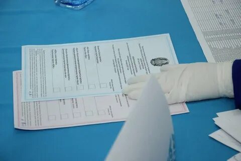 Выборы на пост главы государства