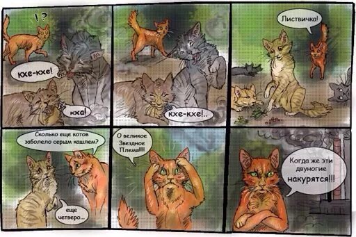 Мемы про котов воителей самые смешные The Three Warrior cat memes, Warrior cats fan art, Warrior cats comics