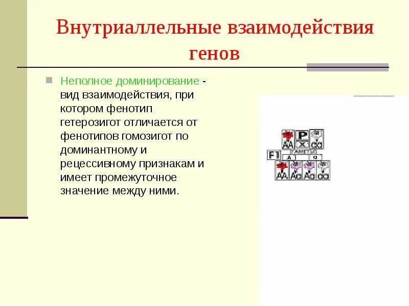 Внутриаллельные взаимодействия генов. Внутриаллельные взаимодействия это. Виды внутриаллельного взаимодействия генов. Неполное взаимодействие генов при котором.