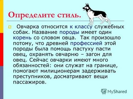 Характеристика клички собак