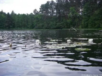 Оз адреса