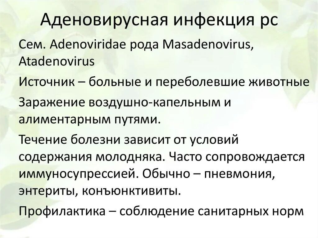 Аденовирусная инфекция симптомы и лечение у взрослых. Аденовирусная инфекция симптомы. аденовирусная инфекция у детей симптомы. аденовирусная инфекция синдромы. сыпь при аденовирусной инфекции.