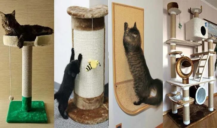 Как приучить кошку к домику. Приучаем котенка к когтеточке. какиприучить котенка к когтеточки. как приучить котёнка к когтеточке. как приручить котёнка к когтеточке.