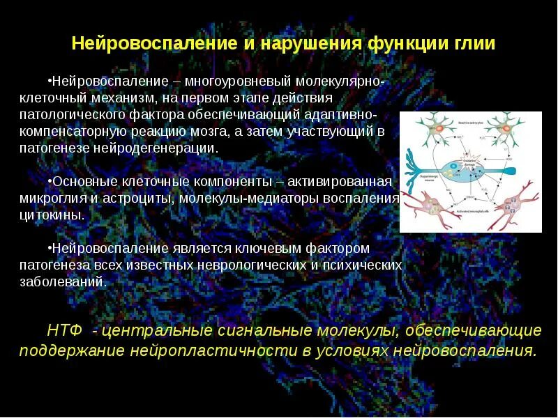 Нейровоспаление у детей симптомы. Нейровоспаление. Нейровоспаление это. Нейровоспаление это. Нейровоспаление мозга.