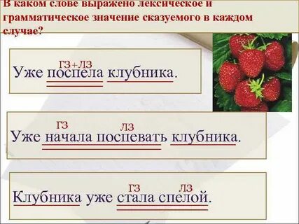 Какие слова относятся к сказуемым