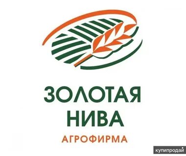 Золотая нива казань