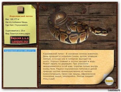 Королевский вес