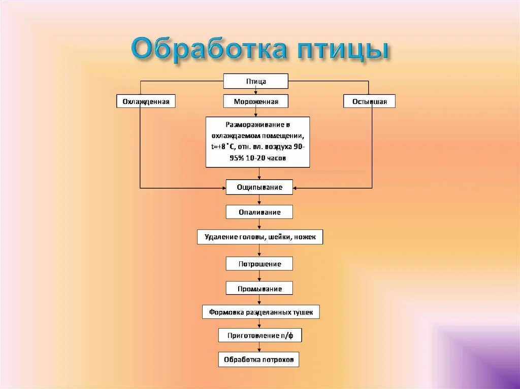 Механическая кулинарная обработка сельскохозяйственной птицы. Схема обработки домашней птицы. Технологическая схема обработки курицы. Технологическая схема обработки курица филе. Рыба организация процесса приготовления