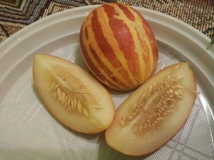 Гибрид дыни