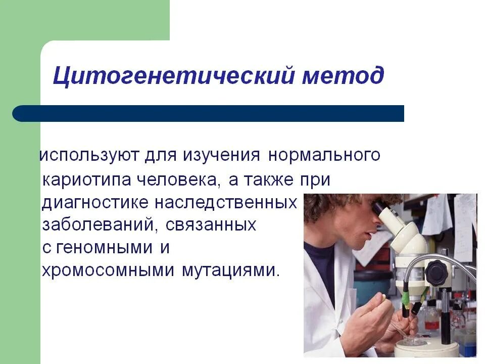 Наука использующая метод цитогенетический. Цитогенетический метод. цитогенетический метод используют. цитогенетический метод исследования используют. цитогенетический метод применяется для изучения.