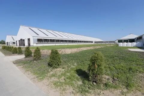 Ферма тюниных в калининградской