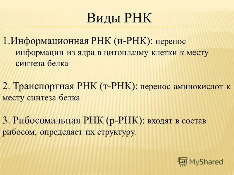 Основные типы РНК. Характеристика видов РНК. Перечислите разновидности РНК. Функции всех видов РНК.