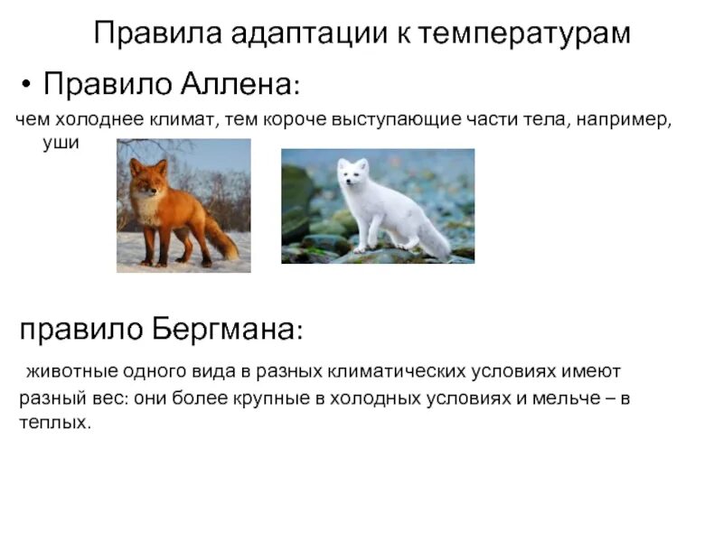 Способы приспособления животных