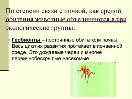 Постоянный обитатель