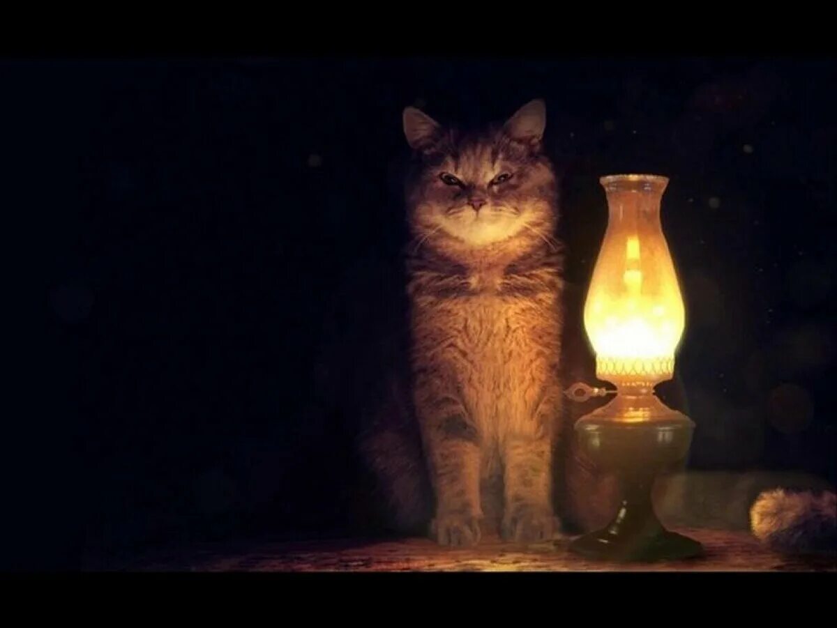 Настало время ох ительных. Лампа кот. Кот со свечкой. Ламповый вечер. Светильник кот.