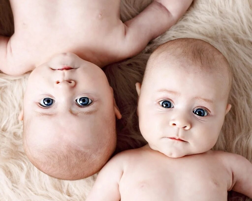 Мама папа близнецы. Двойняшки. Младенцы двойняшки. Двойняшки и Близнецы. Фотосессия двойняшек.