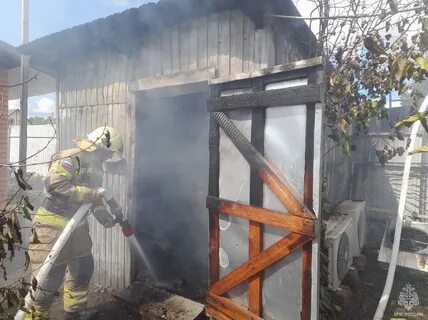 Жесть белгородская область