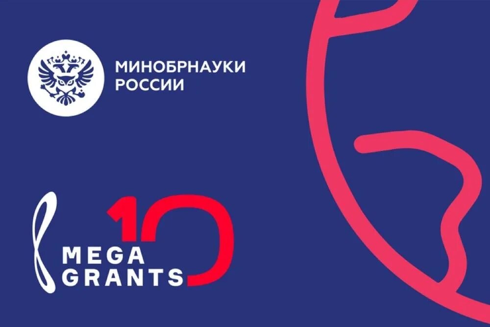 Мегагрант. Мегагрант. Книги документальный роман. Мегагрант. Мегагранты.