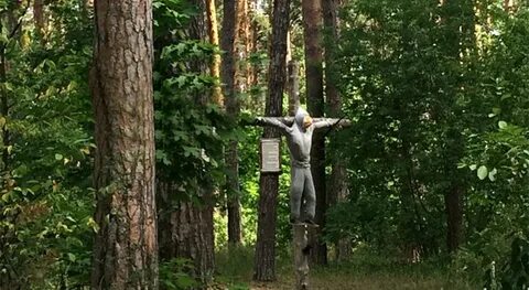 Привязана к дереву