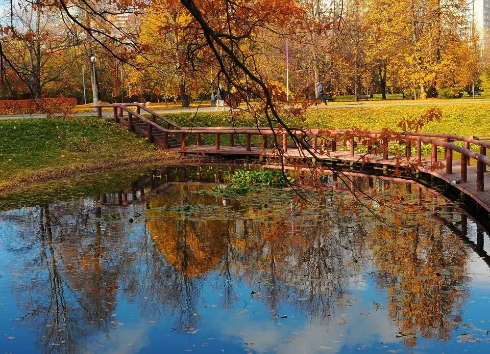 Киото звенигород. Парк Сенеж в Солнечногорске. Городской парк Звенигород. Осень в Подмосковье. Парк в Звенигороде для прогулок.