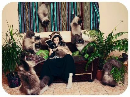 Кошатница