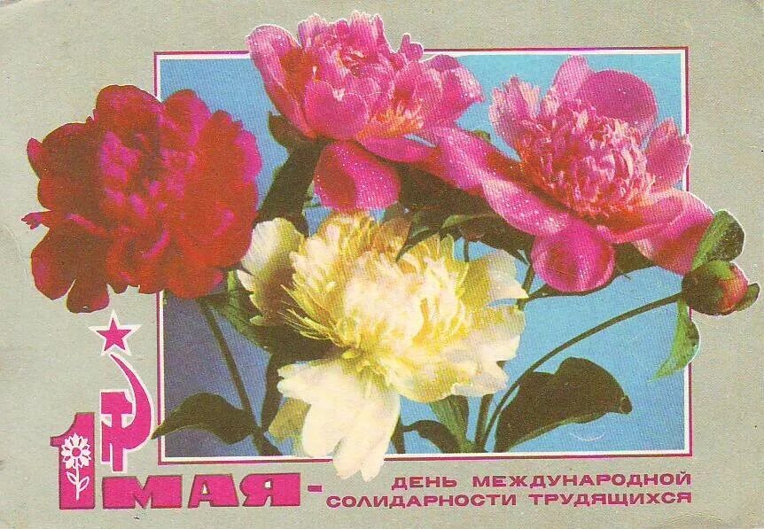 С днем международной солидарности трудящихся открытки. День международной солидарности трудящихся 1 мая открытки. советские первомайские открытки. советские открытки с 1 мая. день международной солидарности трудящихся советские открытки.