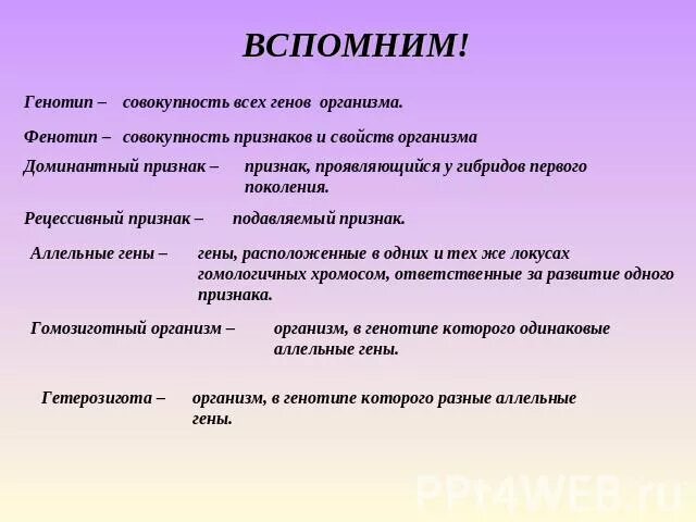 Генотип бывает. Генотип и фенотип. Фенотип примеры. Генотип это совокупность всех генов организма. Генотип -- это совокупность всех признаков организма..