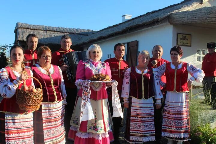 Кубанский (Новопокровский район). Краснодарский край Новопокровский район поселок Кубанский. Центр народной культуры Кубани. Поселок кубанский новопокровский район краснодарский край