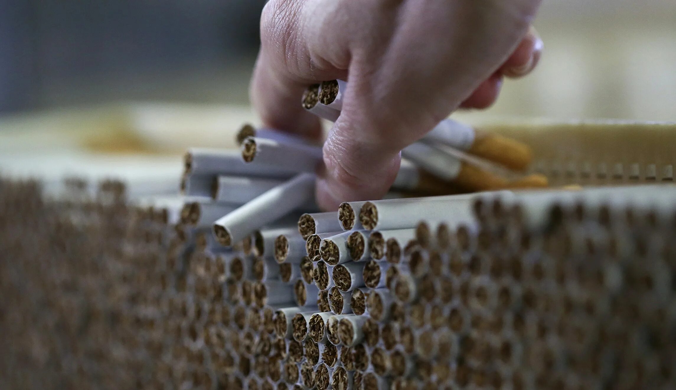 Табачная промышленность. Сигареты производители. Производство сигарет. Табачный завод.