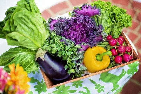 Vegetable videos