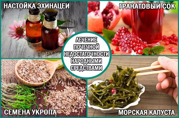 Эффективное лечение почек народными средствами