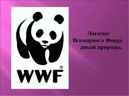 Какое животное служит эмблемой всемирного фонда дикой