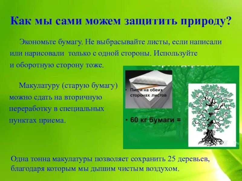 Как защитить лист. Как защитить природу. экономьте бумагу. способы экономии бумаги. как можно защитить природу.